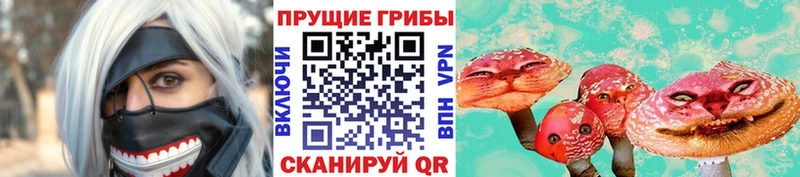 магазин наркотиков Дюртюли Галлюциногенные грибы Psilocybe