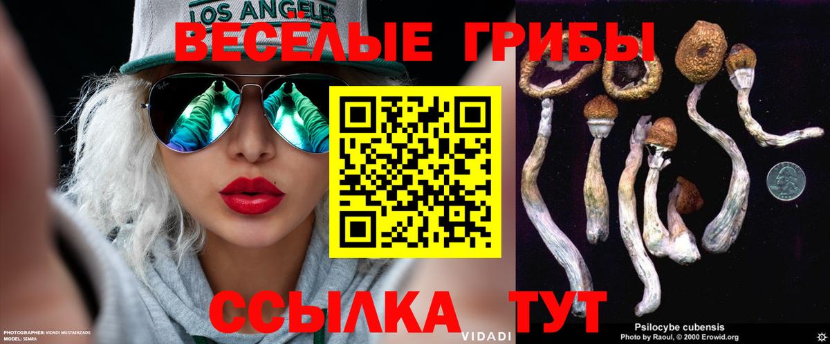 Галлюциногенные грибы мухоморы Дюртюли
